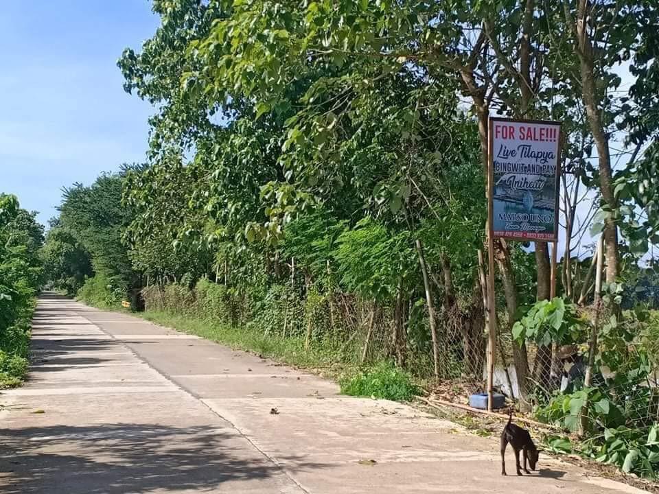 Cabiao San Antonio bypass road Nueva Ecija lot, Property, For Sale, Lot