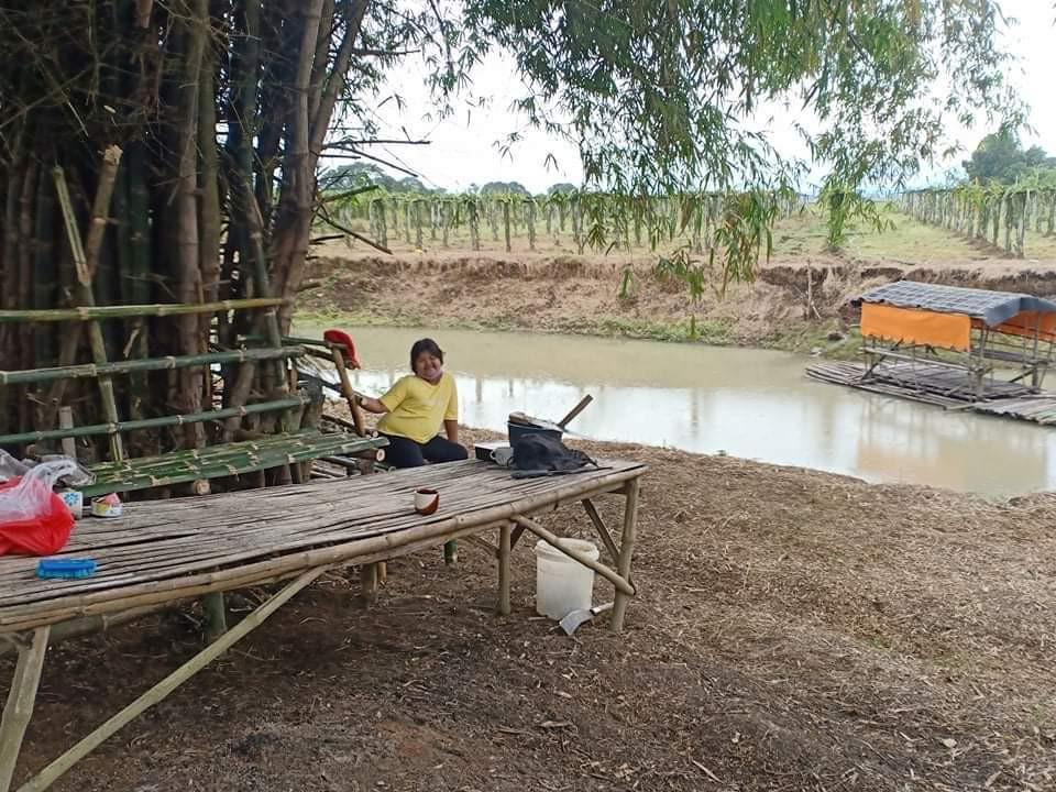 Cabiao San Antonio bypass road Nueva Ecija lot, Property, For Sale, Lot