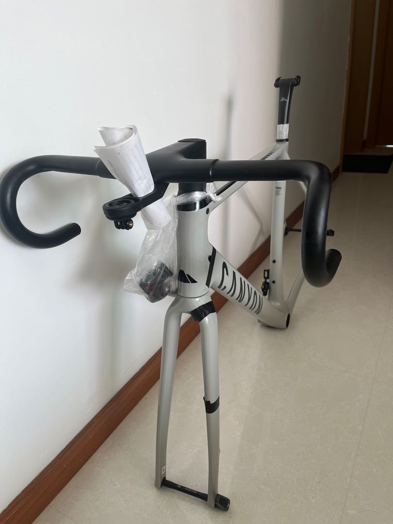 canyon endurace cf sl frameset