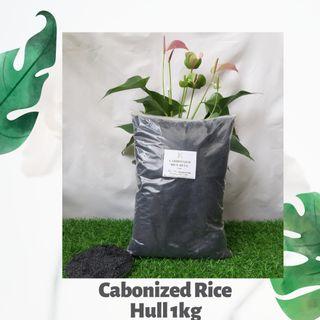 Carbonized Rice Hull