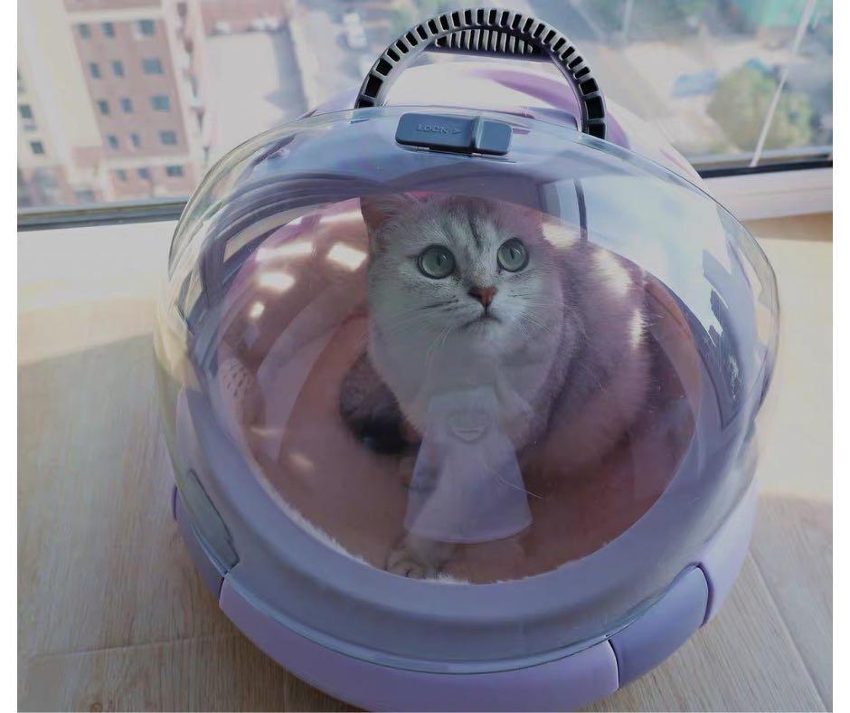 Cat Spaceship Carrier / Litter Box, Pet Supplies, Homes & Other Pet  Accessories on Carousell
