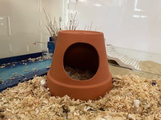 (Category: ) located in . Submitted by hamniture (Listing ID 1173401899, Image 1). Description: .