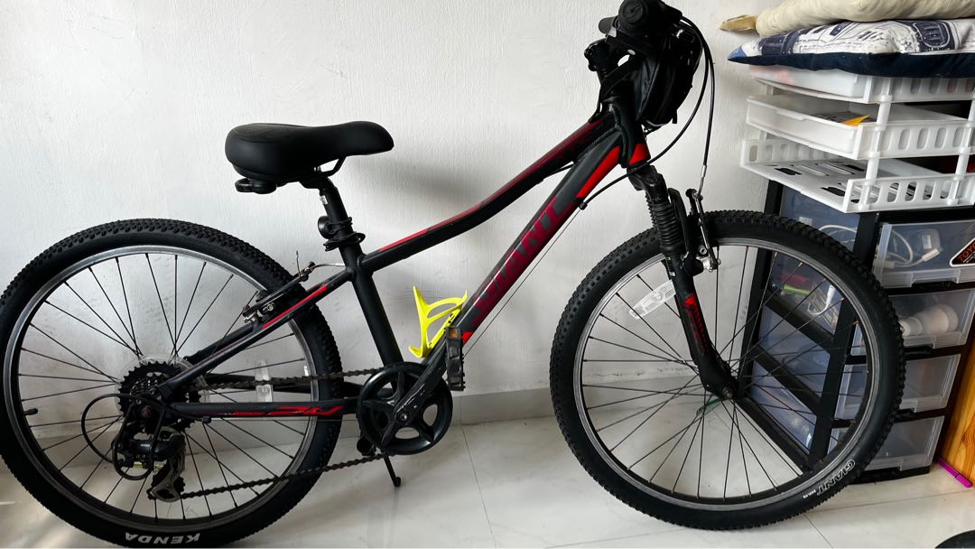Mountain Bike -Giant Aluxx kids 
