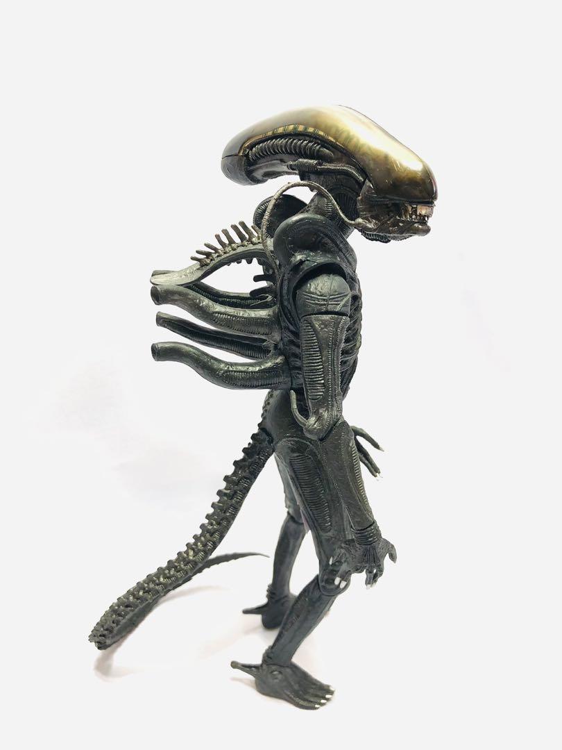 NECA Alien from Alien vs predator 10 inch, Hobbies & Toys, Toys & Games