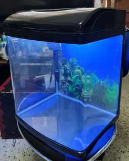 (Category: ) located in . Submitted by 93r1_a (Listing ID 1170095741, Image 1). Description: .