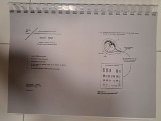 （分類：）位於 。 由 cmipae 提交（商品編號 1170147516，圖片 1）。簡介： 。