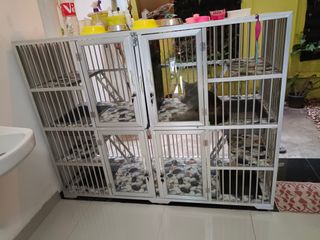 (Kategori: ) berada di . Dikirim oleh wind7 (ID iklan 1170255998, Gambar 1). Deskripsi: .