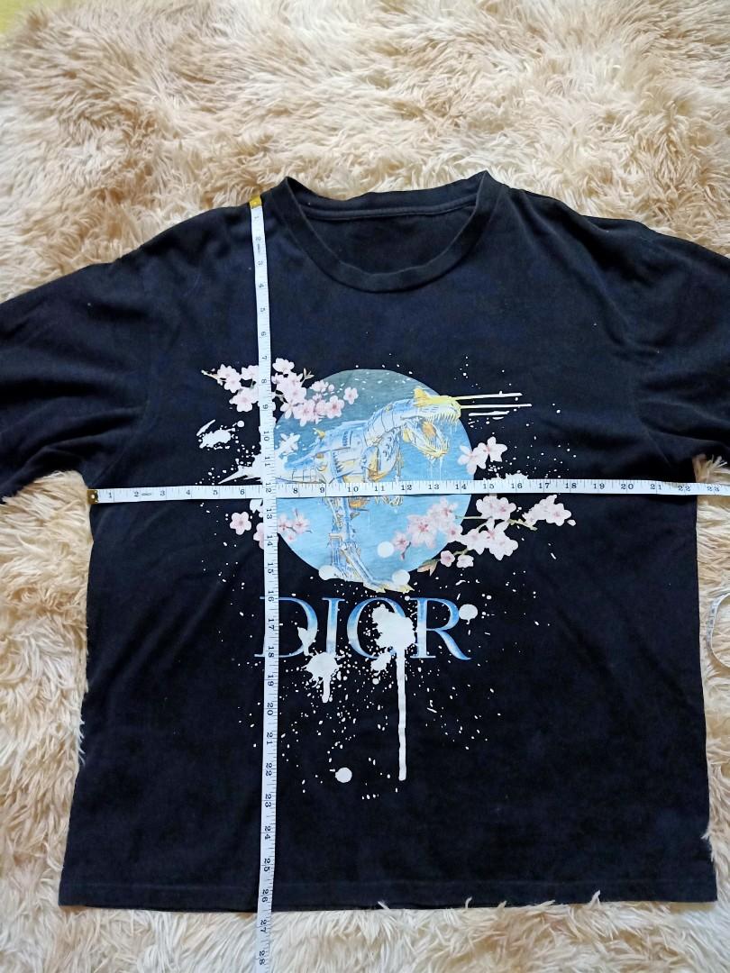 dior x hajime