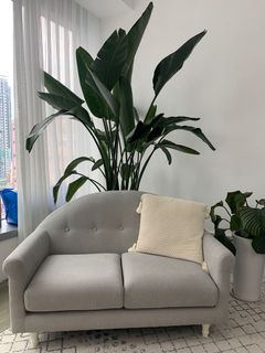 （分類：）位於 。 由 jffan 提交（商品編號 1170060915，圖片 1）。簡介： 。