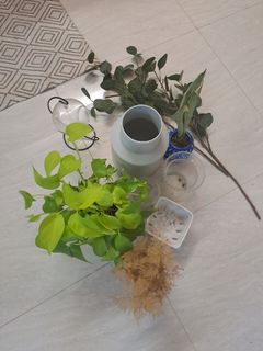（分類：）位於 。 由 pheebspheebs 提交（商品編號 1170126074，圖片 1）。簡介： 。