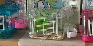 (Category: ) located in . Submitted by piie (Listing ID 1170101996, Image 1). Description: .