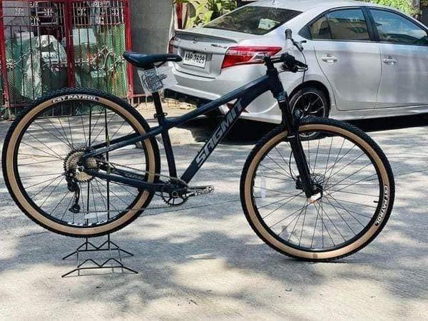 cst skinwall 27.5