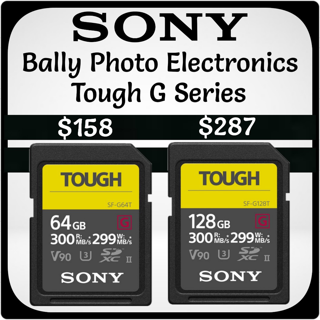 お中元 SONY TOUGH SDXCカード 128GB UHS-II SF-G128T
