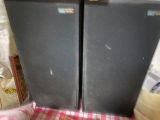 Pioneer Vintage big old speaker