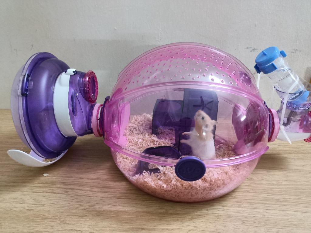Habitrail cage new arrivals for syrian hamster