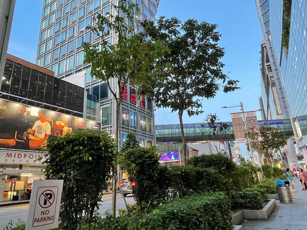 228 Orchard Road Og Orchard, Property, For Sale, Commercial on Carousell