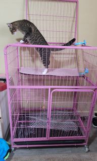 (Category: ) located in . Submitted by 072724 (Listing ID 1173621998, Image 1). Description: .