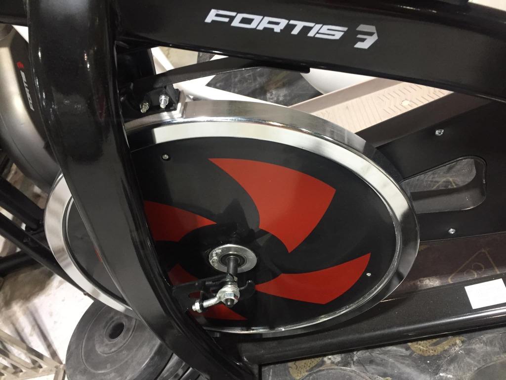 fortis 13kg flywheel exercise