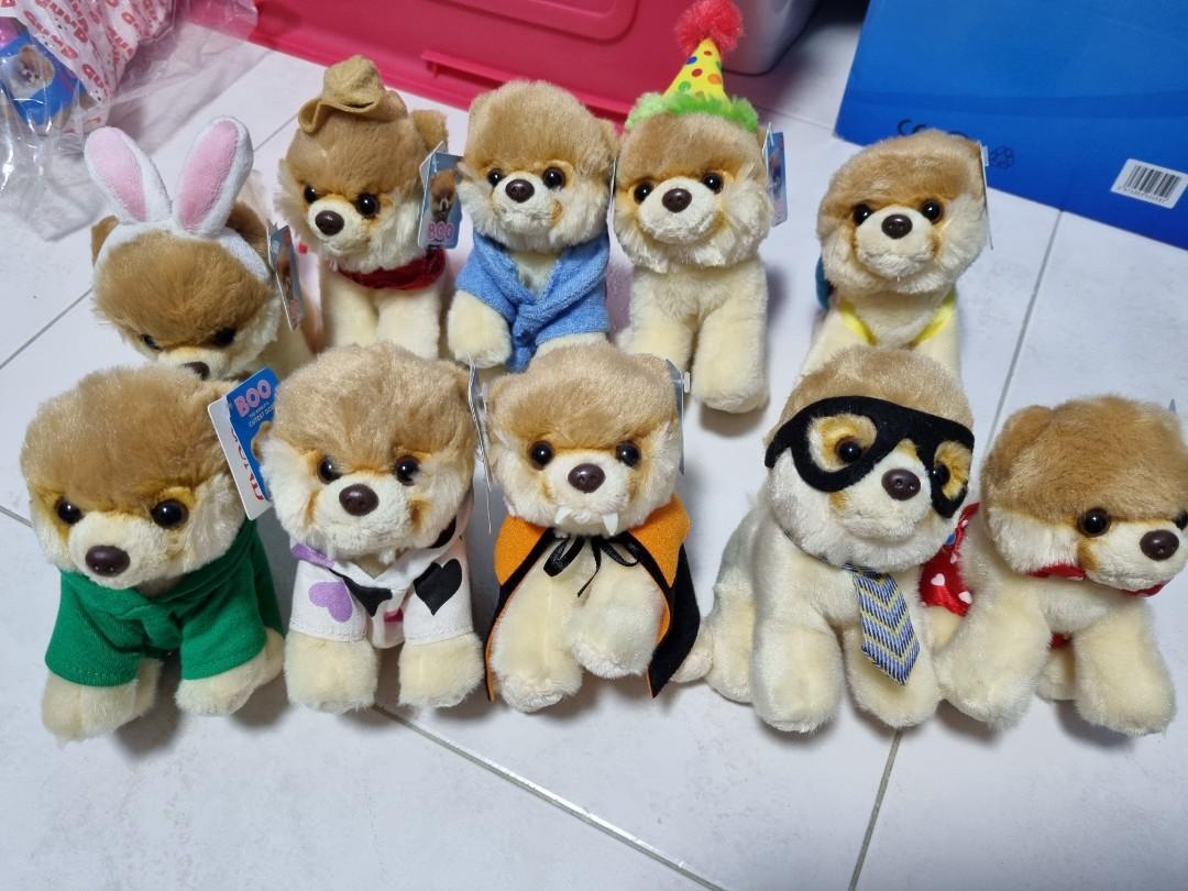 Boo the world's online cutest dog plush