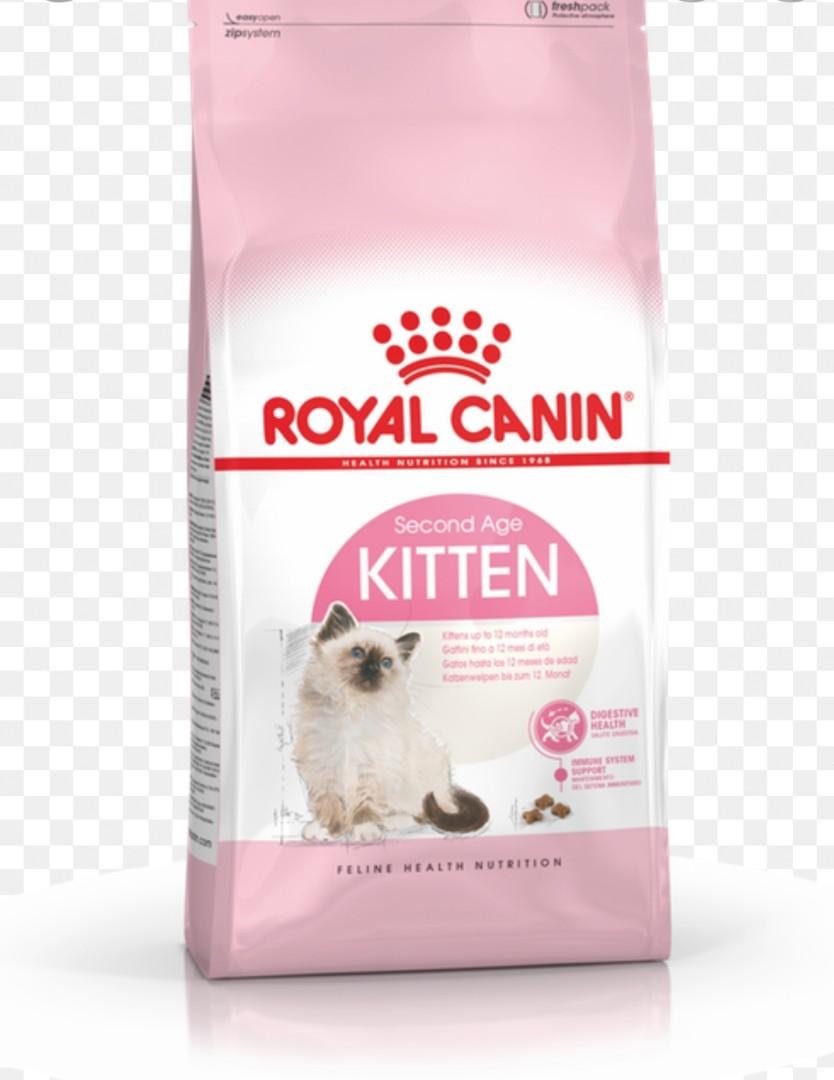 Kitten second age cheap