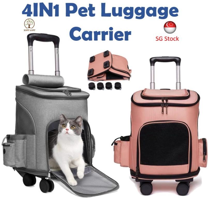 Cat luggage new arrivals bag