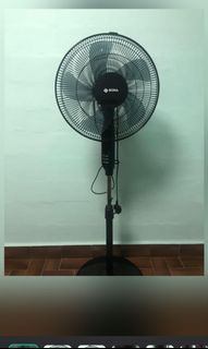 (Category: ) located in . Submitted by n2bgrz4wrf (Listing ID 1173621548, Image 1). Description: .