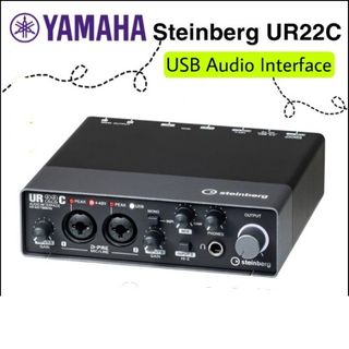 Steinberg ur22c For Sale | Carousell Singapore