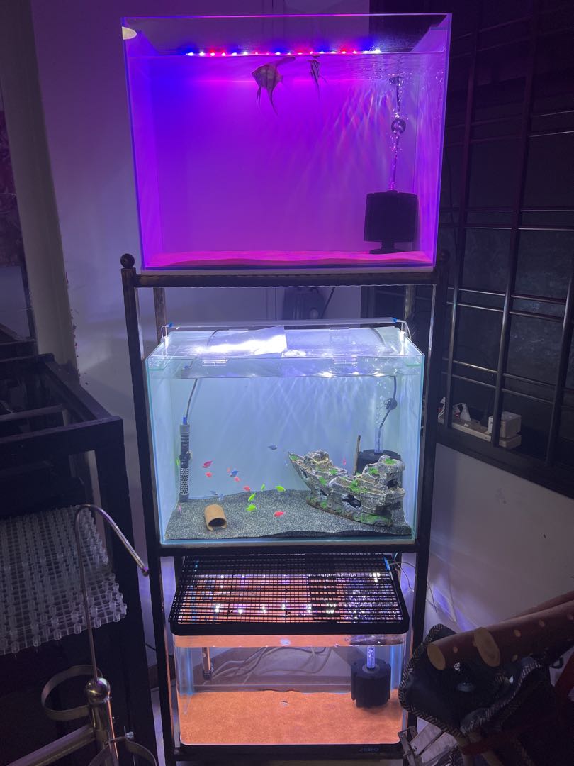 3-tier-2-feet-pet-supplies-homes-other-pet-accessories-on-carousell