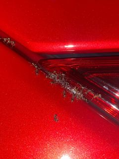 (Category: ) located in . Submitted by adrivdetailing (Listing ID 1173895390, Image 1). Description: .