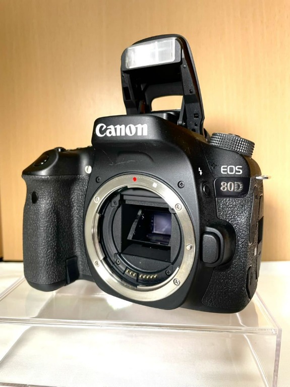 10月8日限定価格✨【美品】Canon EOS 80D - www.axxishospital.com.ec