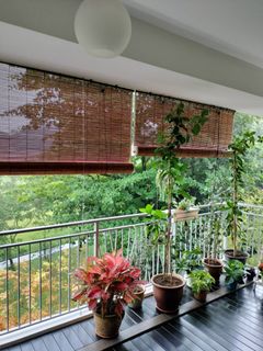 Curtains/blinds and Others Collection item 2