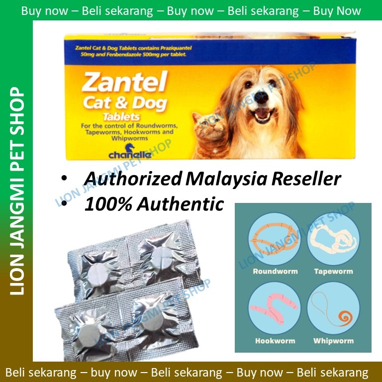 Zantel cat and dog on sale