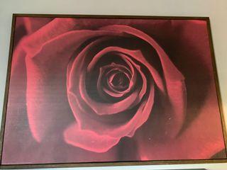 IKEA rose framed artwork