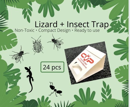 DIY Lizard Traps, Everything Else on Carousell