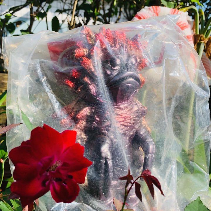 マルサン ウルトラ怪獣ソフビ 完全アルバム 誌上限定 ピグモン