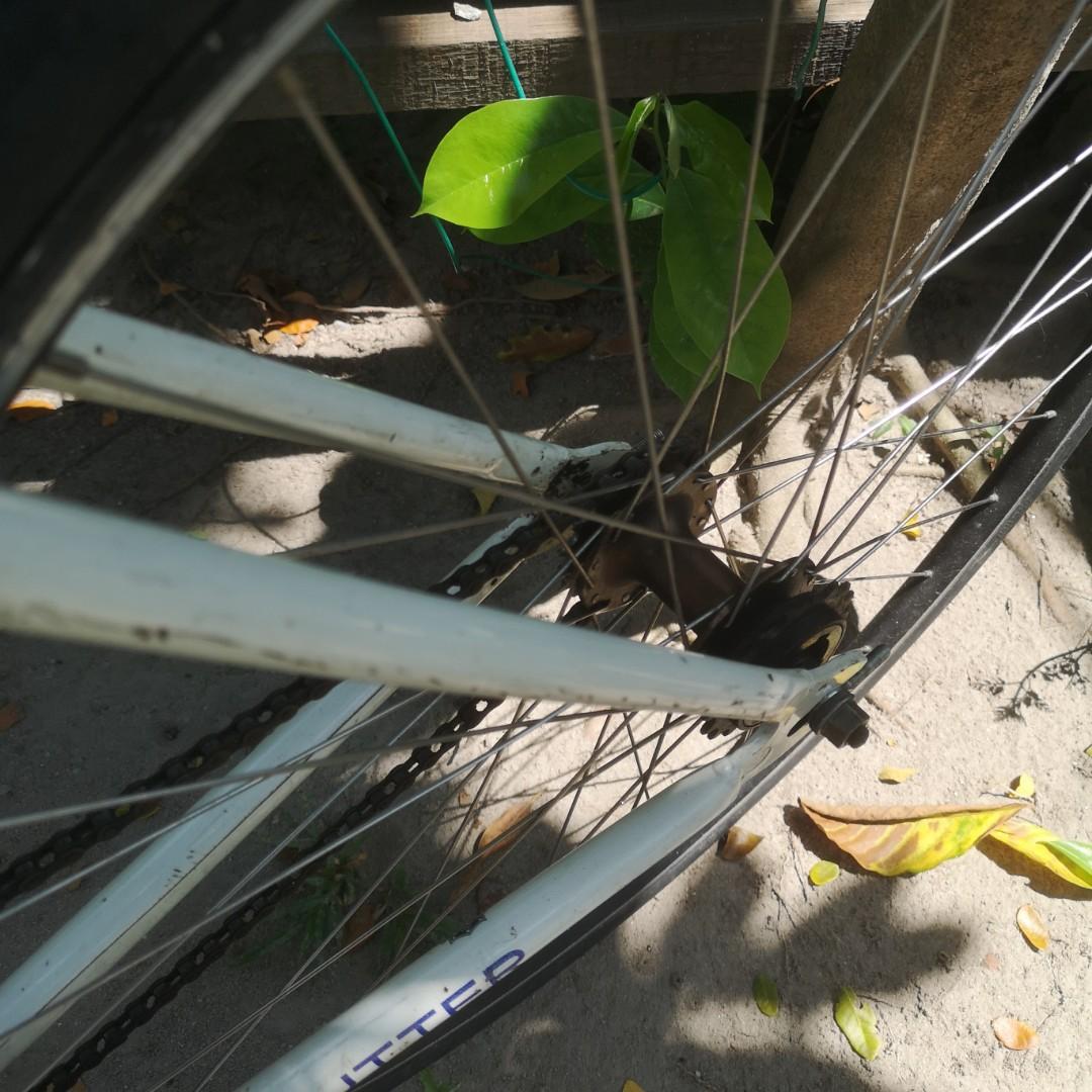 schwinn cutter fixie