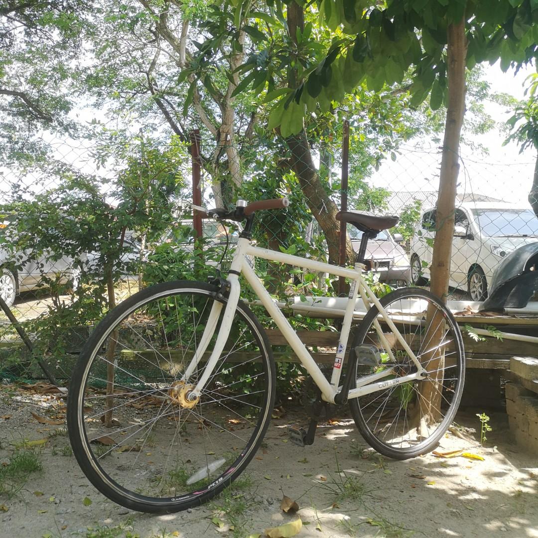 Schwinn fixie bike online