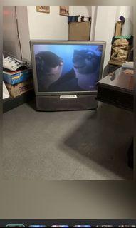 TV /Projector