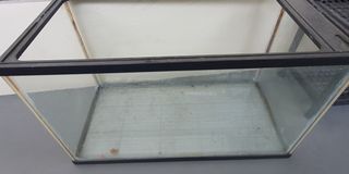 (Category: ) located in . Submitted by nas_lah (Listing ID 1174082963, Image 1). Description: .