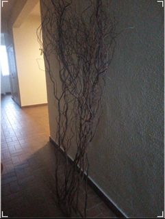 (Category: ) located in . Submitted by emz32285 (Listing ID 1174011679, Image 1). Description: .