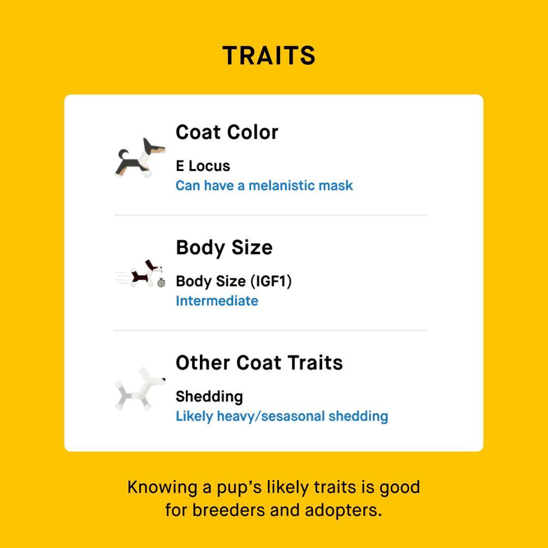 Embark breeder 2025 kit