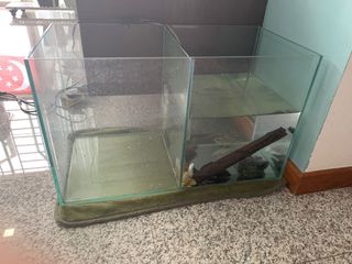 (Category: ) located in . Submitted by alyssast (Listing ID 1173967542, Image 1). Description: .