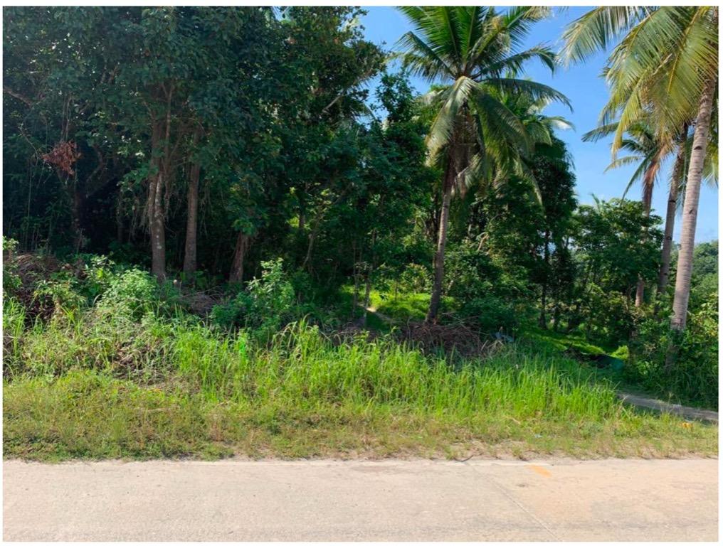 For Sale Agricultural Lot in San Vicente, Palawan for only P1500/sqm