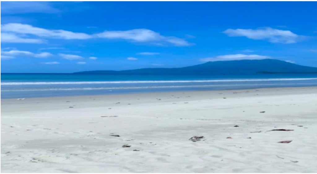 For Sale Commercial lot in San Vicente, Palawan, for P32M, Property