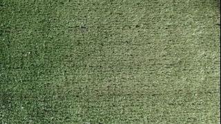 Light Grass Carpet