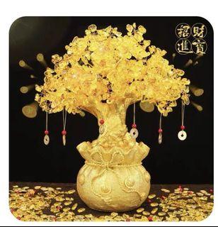 money tree