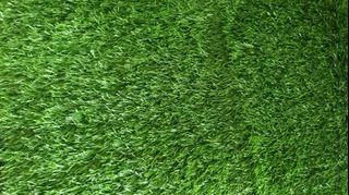 Premium Grass Carpet