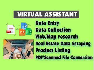 Reliable Virtual Assistant for Data Entry, Web Research and PDF Conversion