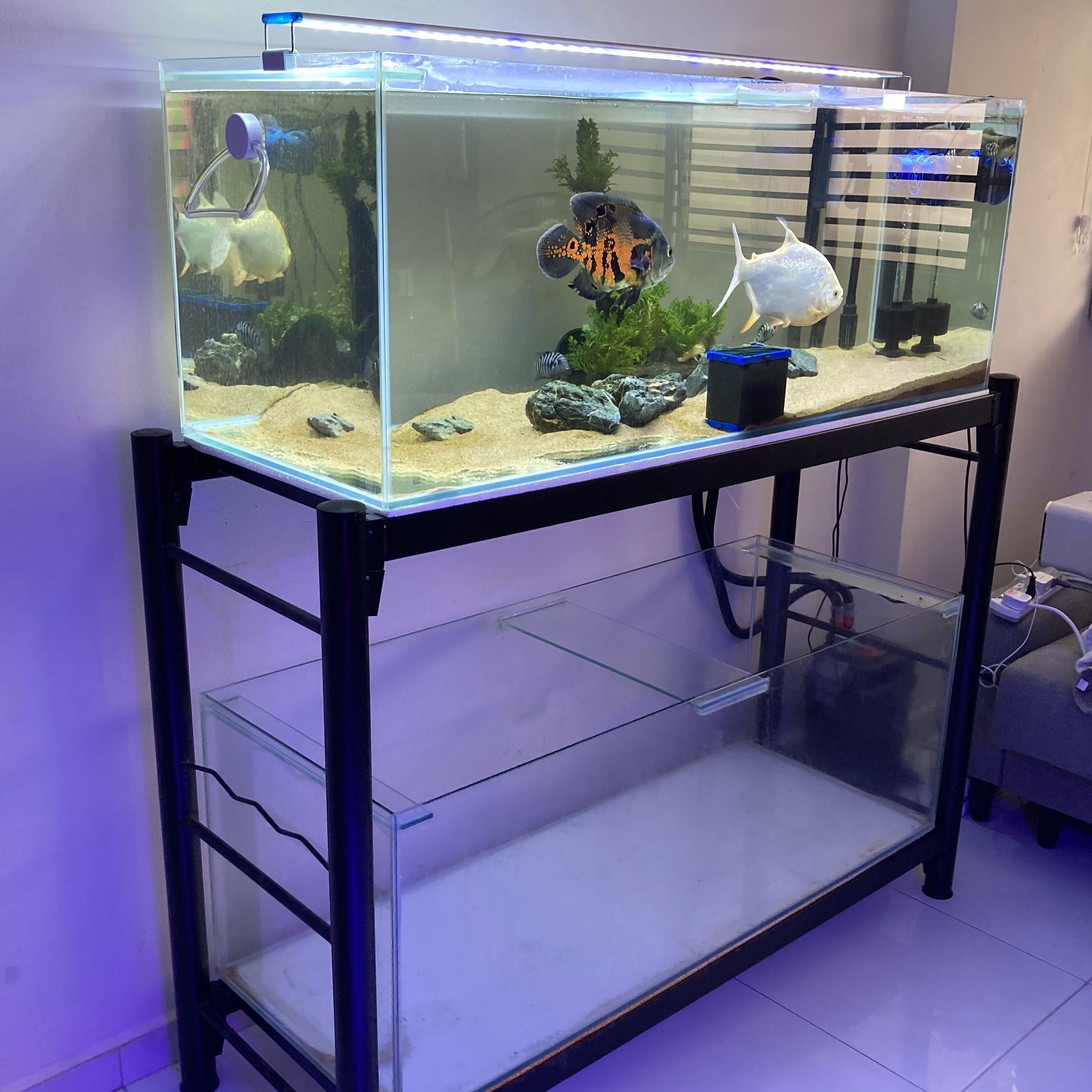 4ft fish deals tank stand