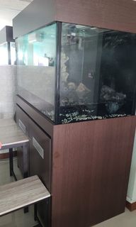 (Category: ) located in . Submitted by alishatheone (Listing ID 1174128471, Image 1). Description: .